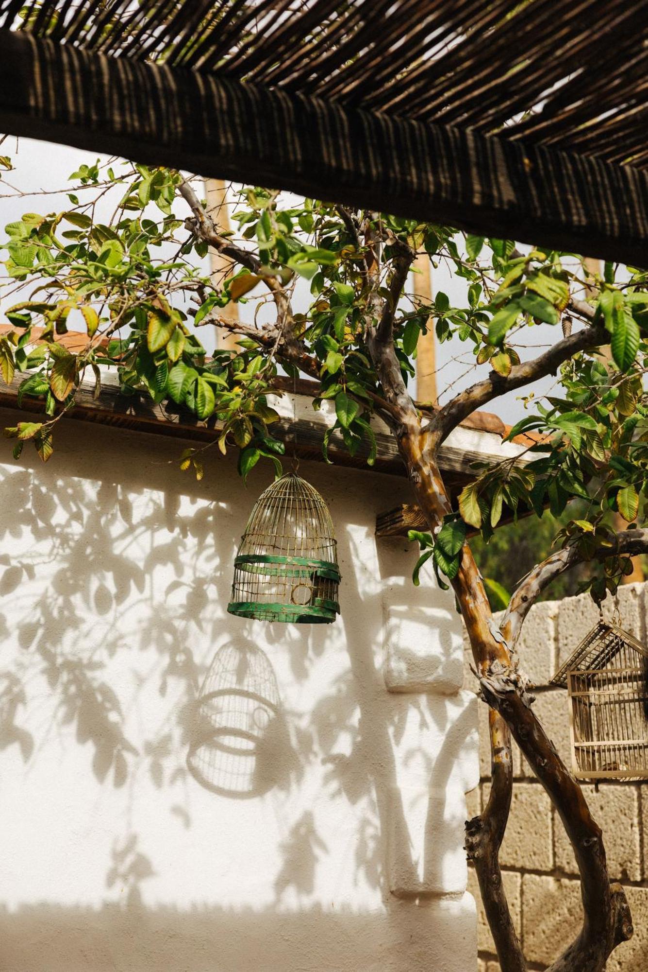 Casa Jable Nueva Villa Costa Adeje  Ngoại thất bức ảnh
